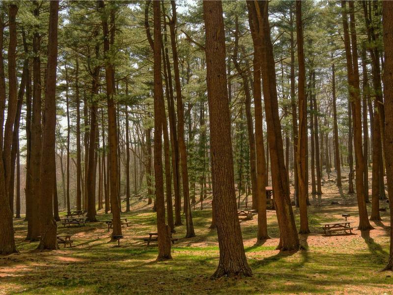 sudoku bedtime puzzle screenshot 1