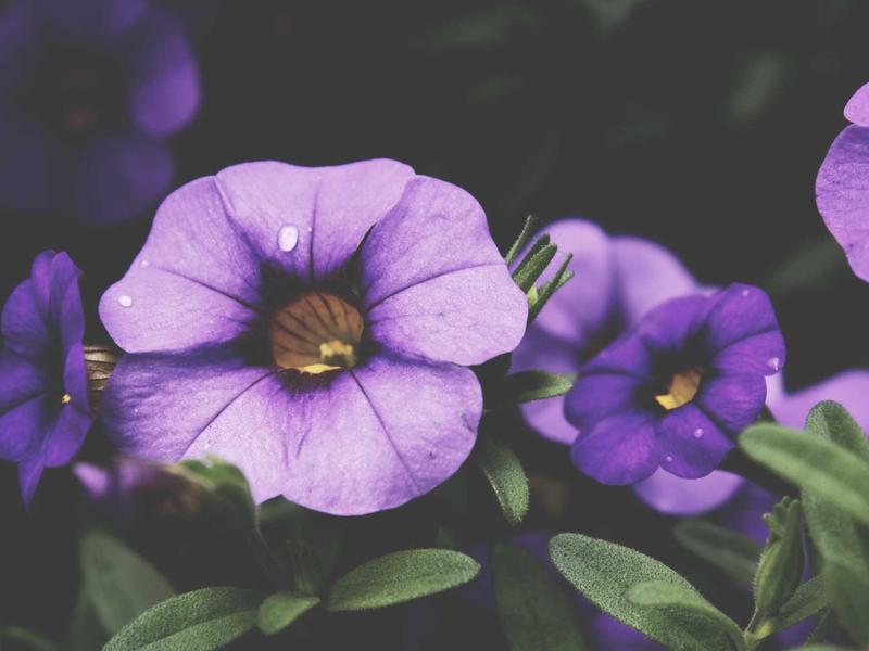 sudoku bedtime puzzle screenshot 4